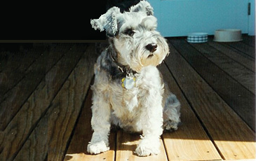 Maddie